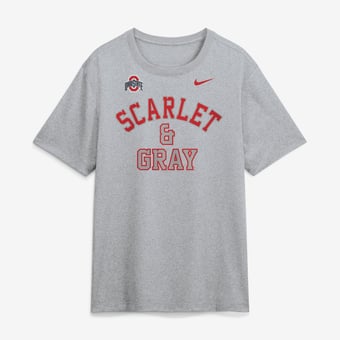 Men's Nike  Gray Ohio State Buckeyes Primetime Arch Mantra Legend Dri-FIT T-Shirt
