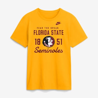 Men's Nike  Gold Florida State Seminoles Legacy Stacked Established T-Shirt
