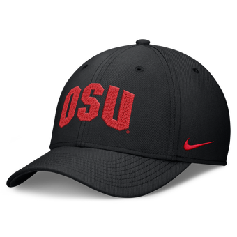 Men's Nike Black Ohio State Buckeyes Letter Rise SwooshFlex Dri-FIT Hat