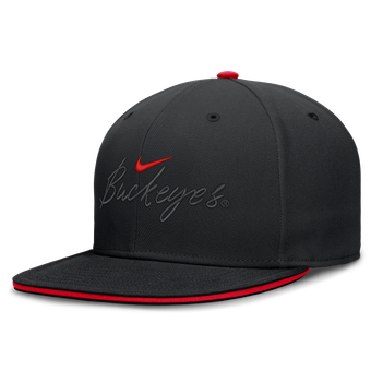 Men's Nike Black Ohio State Buckeyes Dri-FIT Primetime Script Fitted Hat
