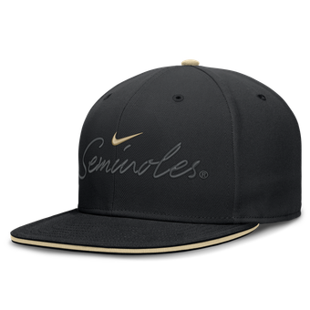 Men's Nike Black Florida State Seminoles Dri-FIT Primetime Script Fitted Hat