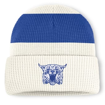 Unisex Nike  White Kentucky Wildcats Legacy Letter Cuffed Knit Hat