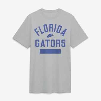 Men's Nike  Heather Gray Florida Gators Arch Wordmark Legacy Tri-Blend T-Shirt