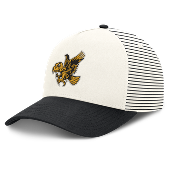 Unisex Nike  White/Black Iowa Hawkeyes Vault Striped A-Frame Rise Adjustable Hat