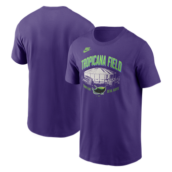 Men's Nike  Purple Tampa Bay Rays Local T-Shirt
