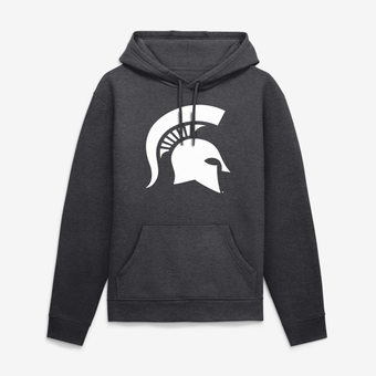 Men's Logo Athletic Heather Charcoal Michigan State Spartans Sunset Hoodie