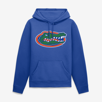 Men's Logo Athletic Royal Florida Gators Sunset Hoodie
