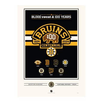 Boston Bruins Centennial 12" x 16" Logo History Print
