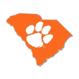 WinCraft Clemson Tigers State Shape Collector Pin