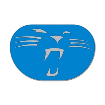 WinCraft Carolina Panthers Secondary Logo Collector's Pin