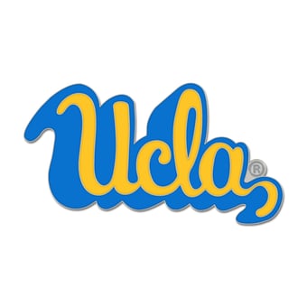 WinCraft UCLA Bruins College Vault Collector Pin
