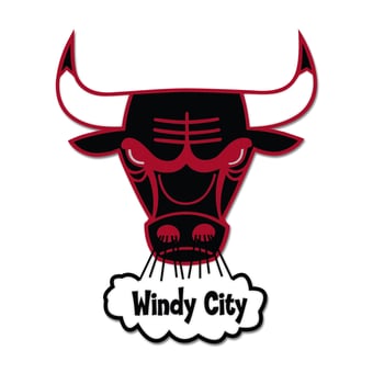 WinCraft Chicago Bulls Hardwood Classics Collector Pin