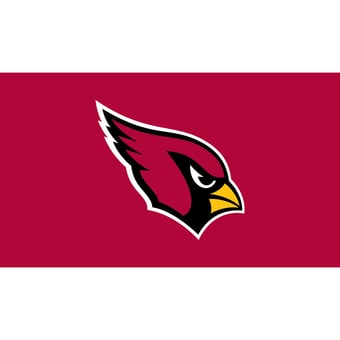 Arizona Cardinals 28" x 16" Turf Mat