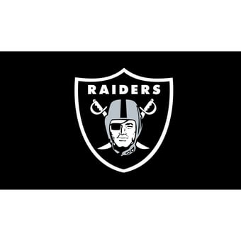 Las Vegas Raiders 28" x 16" Turf Mat