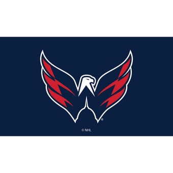 Washington Capitals 28" x 16" Turf Mat