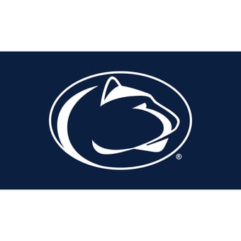 Penn State Nittany Lions 28" x 16" Turf Mat