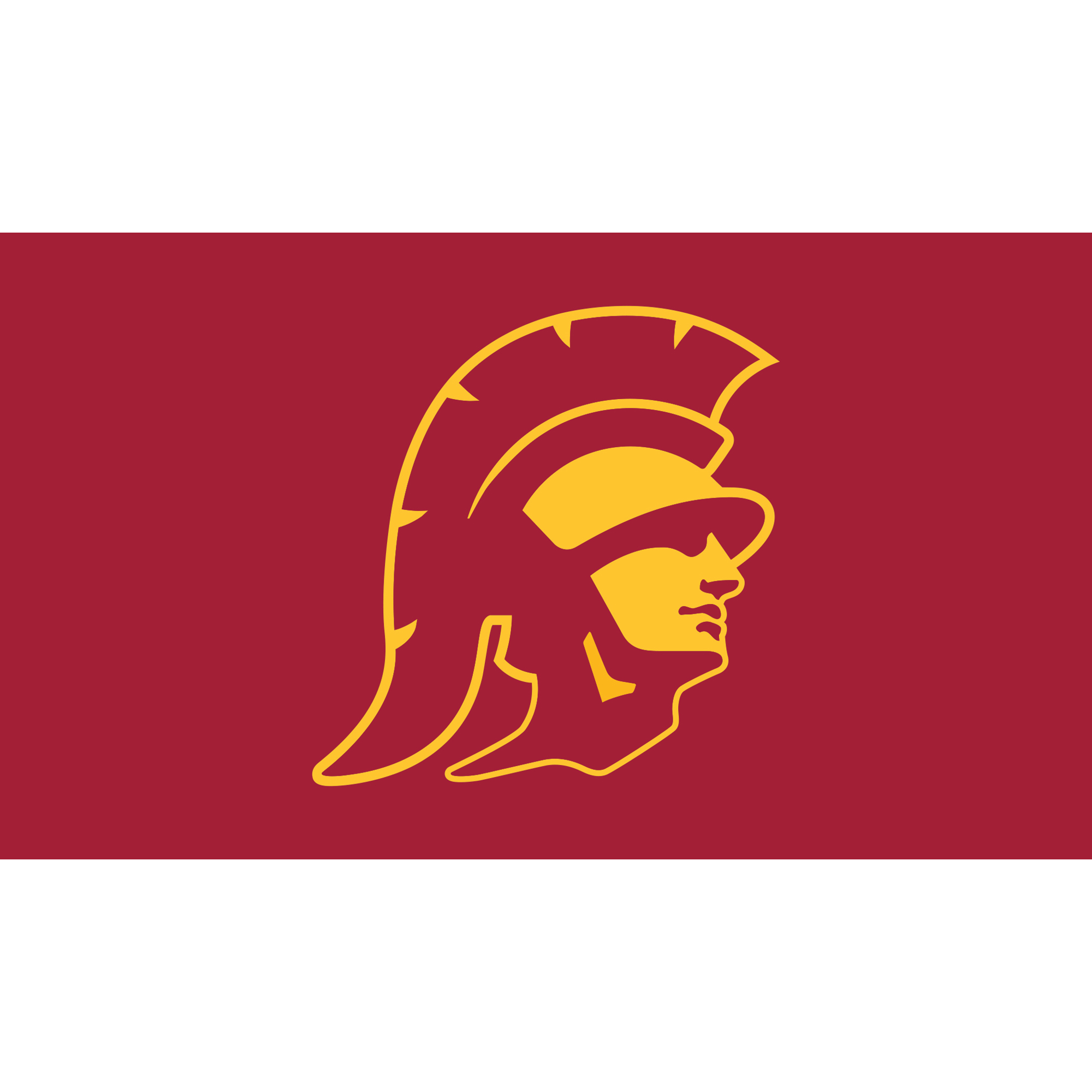 USC Trojans 28" x 16" Turf Mat