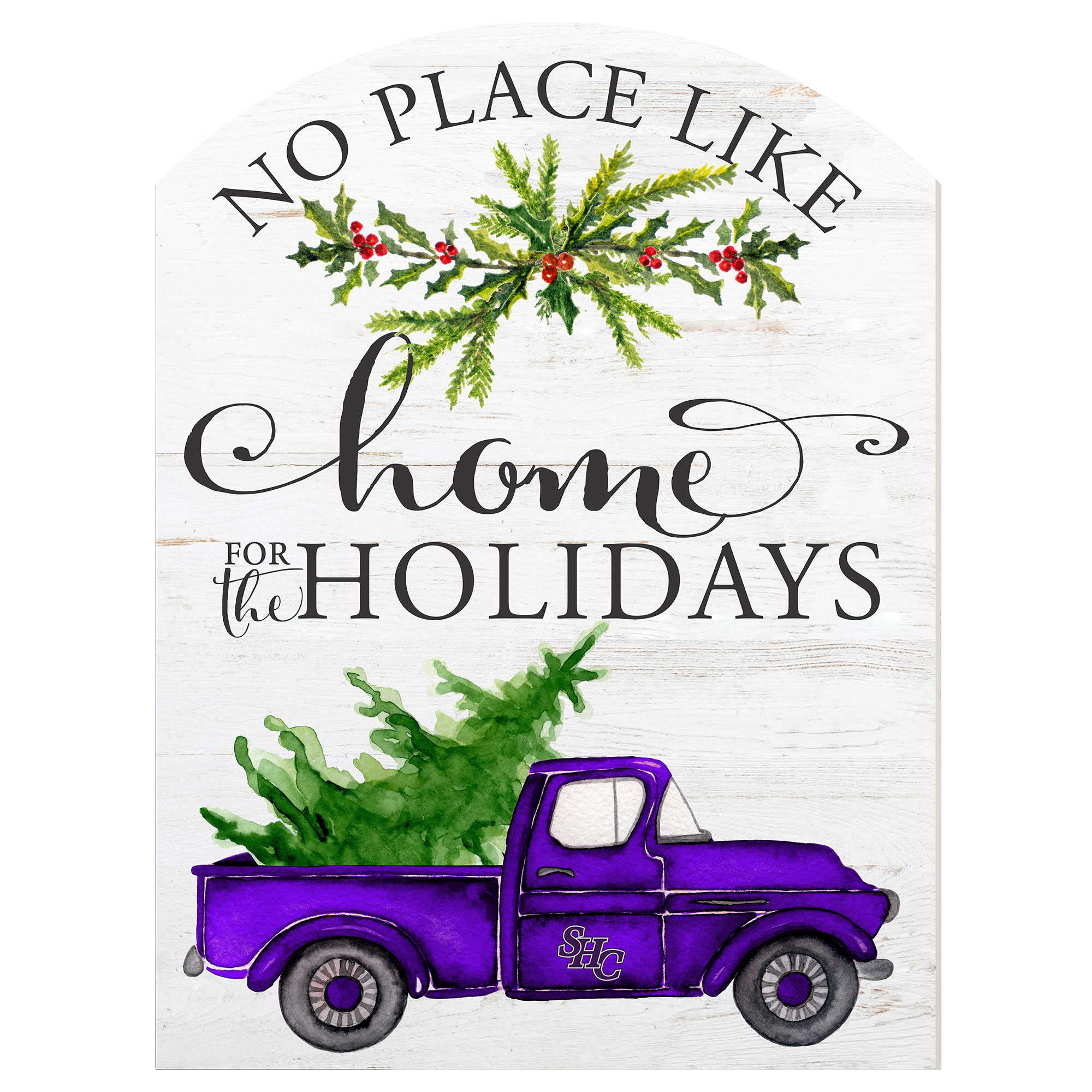 Spring Hill Badgers 16'' x 22'' Holiday Marquee Sign