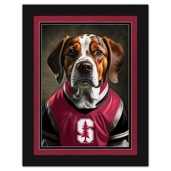 Stanford Cardinal 12'' x 16'' Framed Dog In Jersey Print