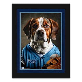 Tampa Bay Rays 12'' x 16'' Framed Dog In Jersey Print