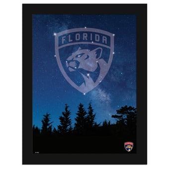 Florida Panthers 12" x 16" In The Stars Framed Art Print