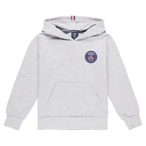 Sweat capuche PSG ESSENTIEL Logo - Gris - Femme, vue 3