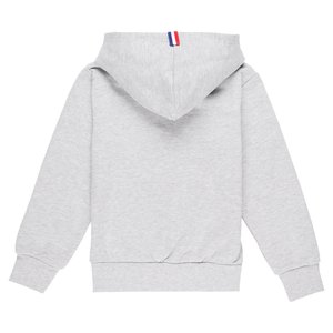 Sweat capuche PSG ESSENTIEL Logo - Gris - Femme, vue 4