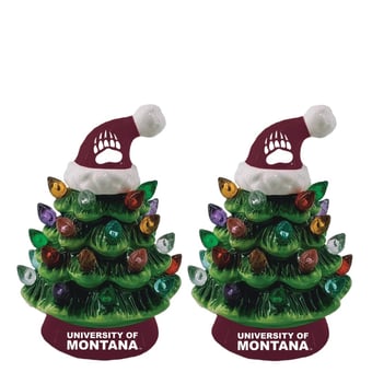 Montana Grizzlies 2-Pack 4" Ceramic LED Christmas Tree Set