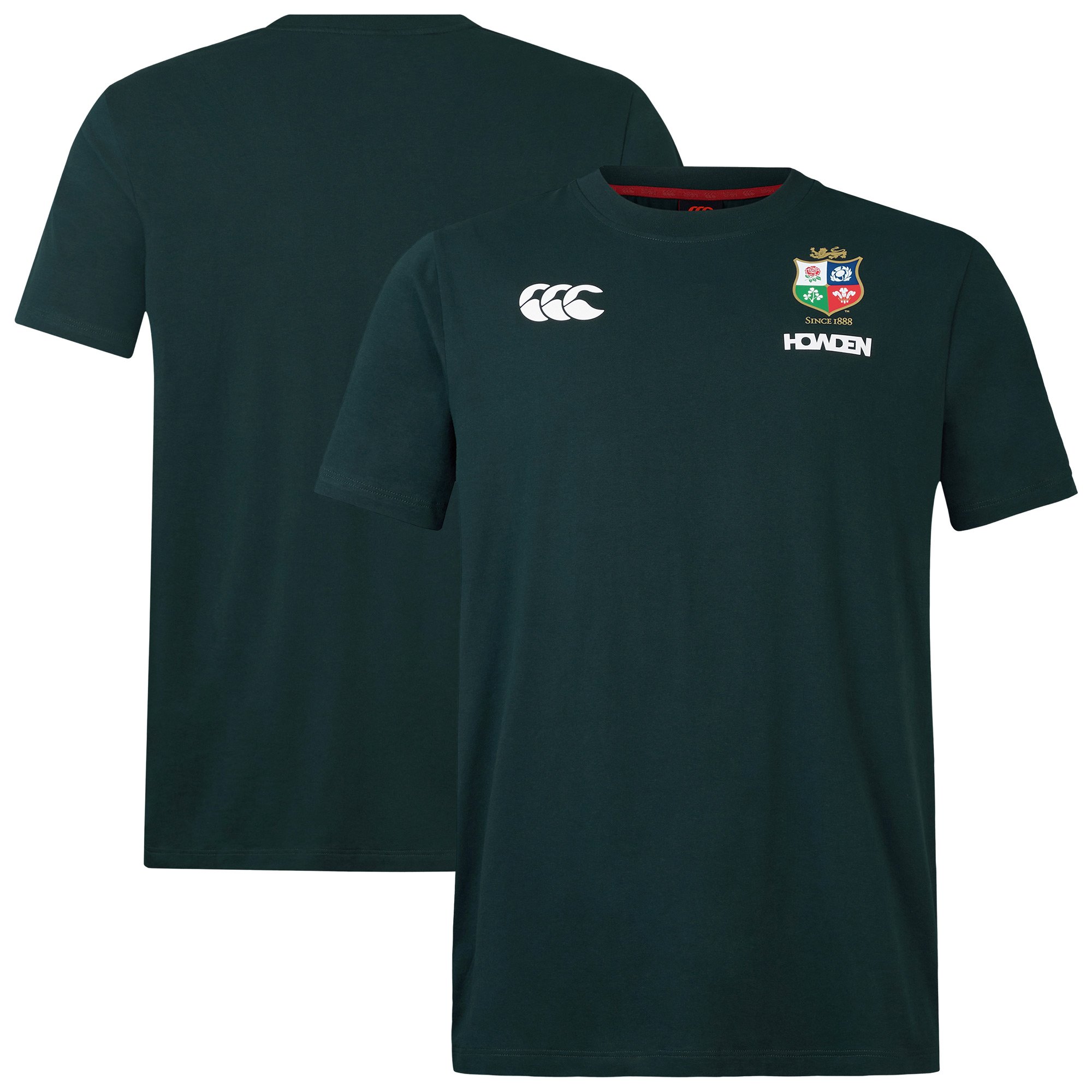 T-shirt in jersey di cotone British & Irish Lions - Verde scuro