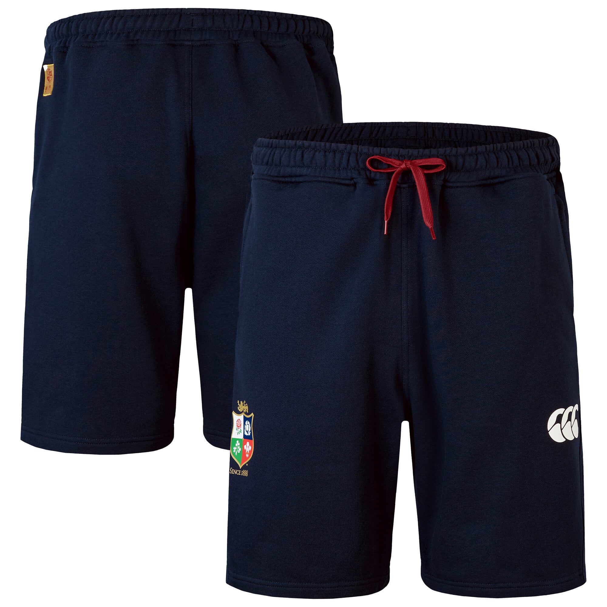 Shorts polares de los Leones Británicos e Irlandeses: retailer-supplied image