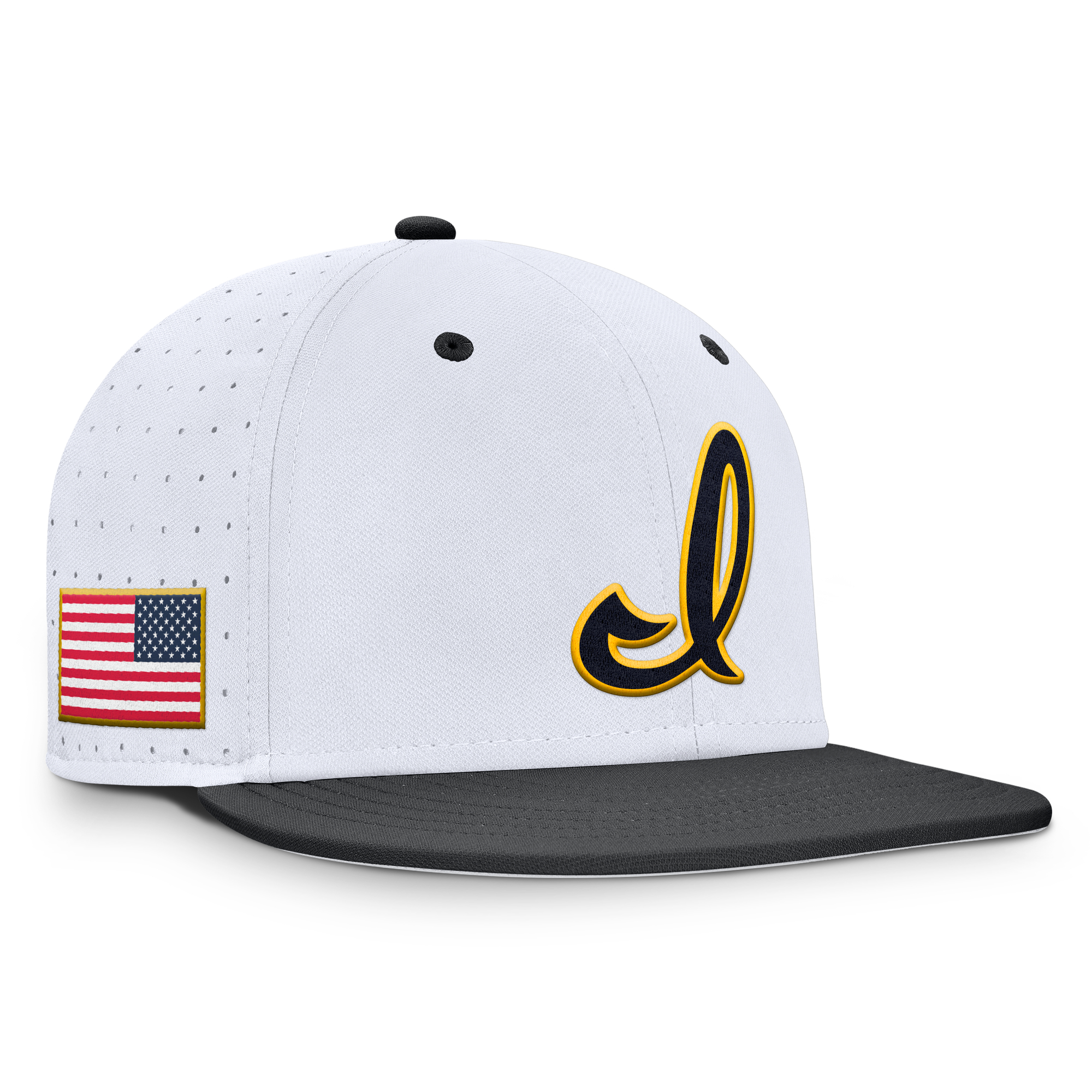 Men's Nike White Iowa Hawkeyes Dugout True Dri-FIT Fitted Hat