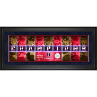 Florida Panthers 2024 Stanley Cup Champions Framed 10" x 30" Champions Panoramic with a Piece of Game-Used Net - Limited Edition of 300