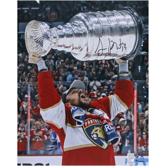 Sam Reinhart Florida Panthers Autographed 2024 Stanley Cup Champions 16" x 20" Raising Cup Photograph
