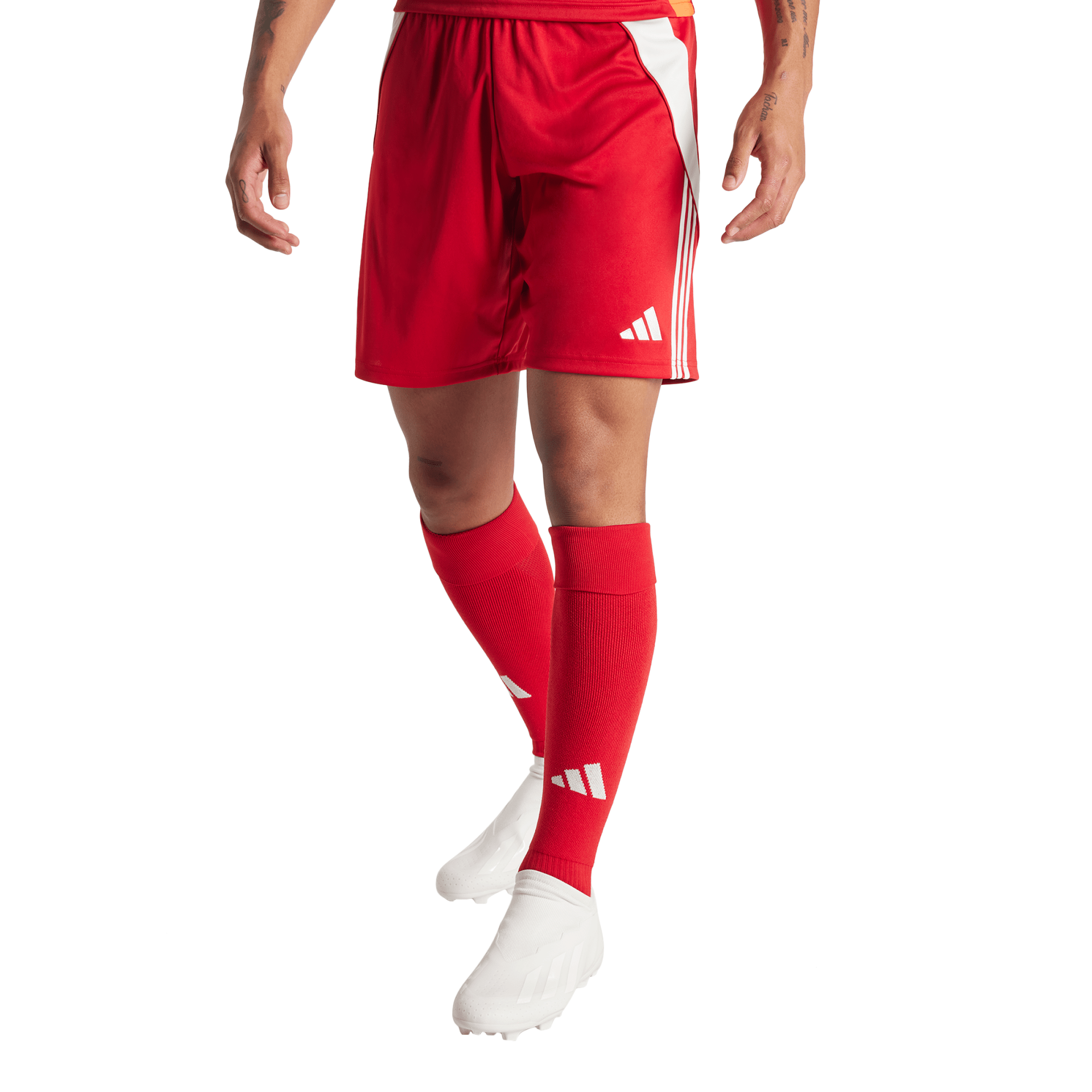 Short da allenamento adidas Tiro 24 - Rosso