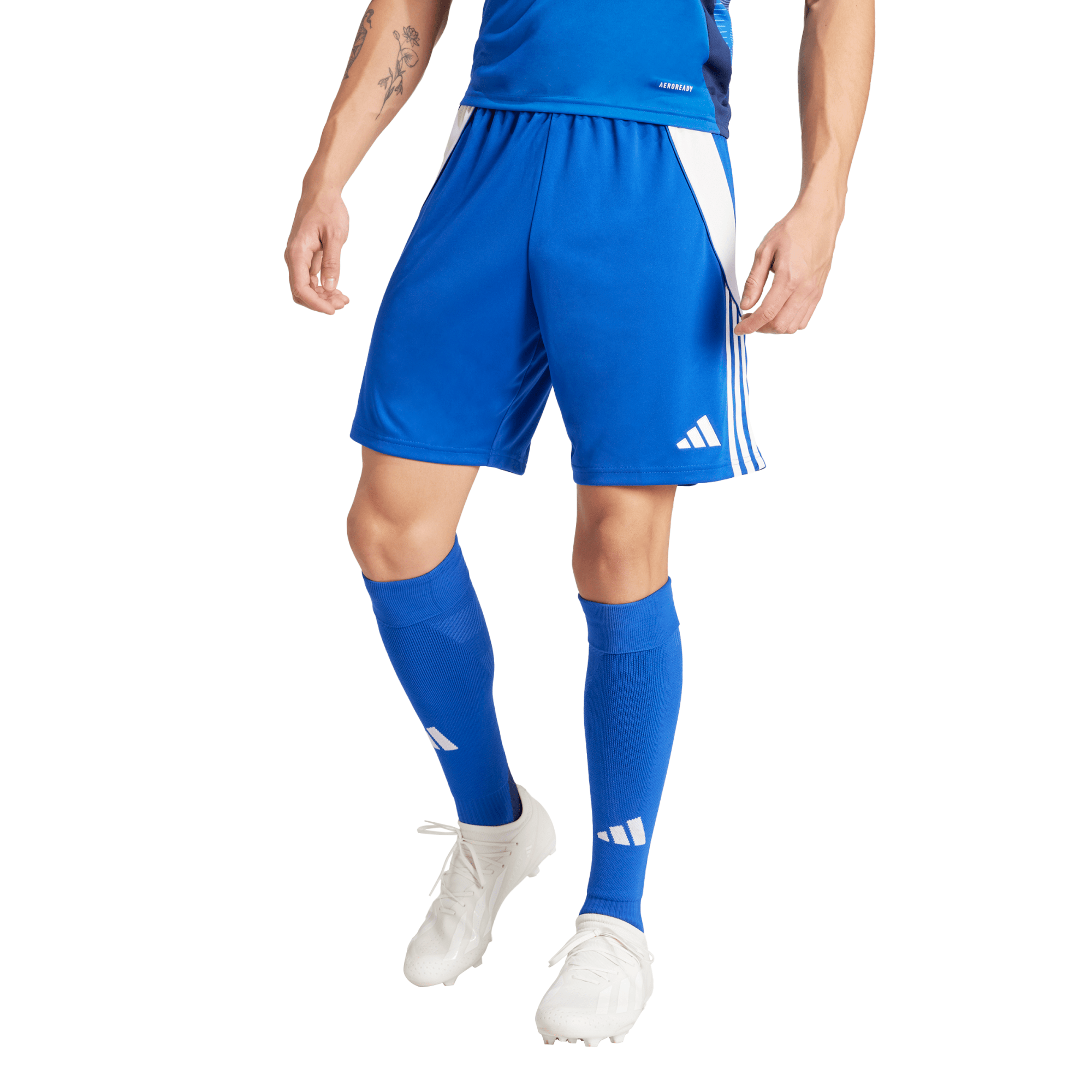 Short da allenamento adidas Tiro 24 - Blu Reale