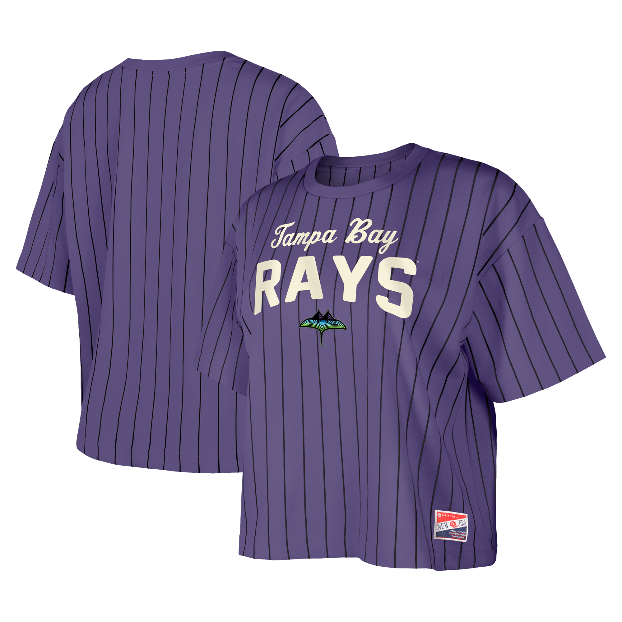 Tampa Bay Rays Logos History - American League (AL) - Chris Creamer's ...