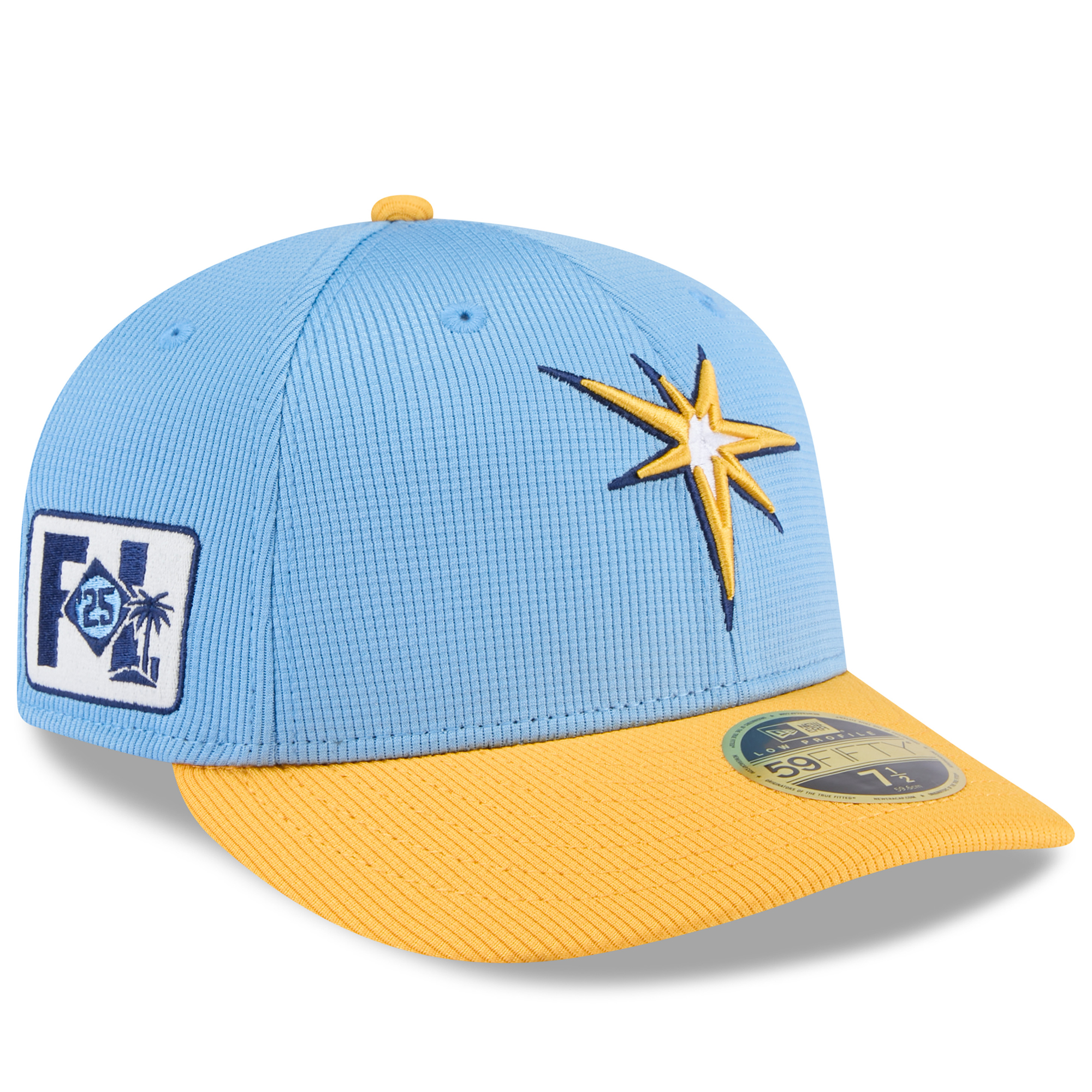 Tampa Rays Pattern Tampa Bay Rays Logos History - American League (AL) - Chris Creamer's ...