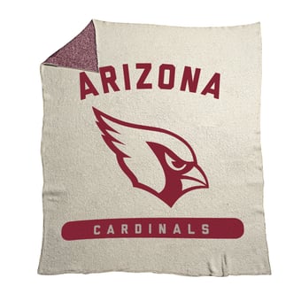 Arizona Cardinals 50" x 60" Luxe Dreams Throw Blanket