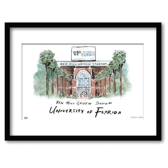 Florida Gators 16" x 20" Framed University Wall Art