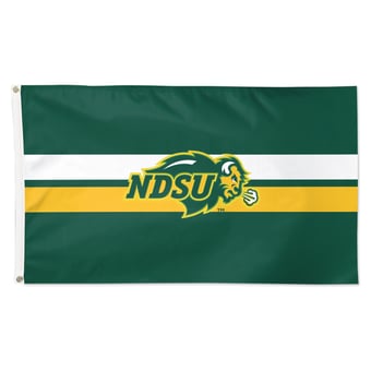 WinCraft NDSU Bison 3' x 5' Applique Flag