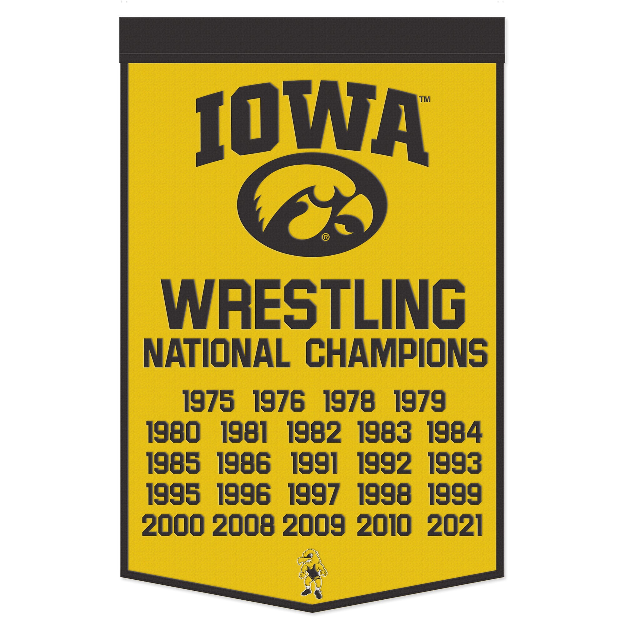 WinCraft Iowa Hawkeyes 24" x 38" Wool Championship Banner