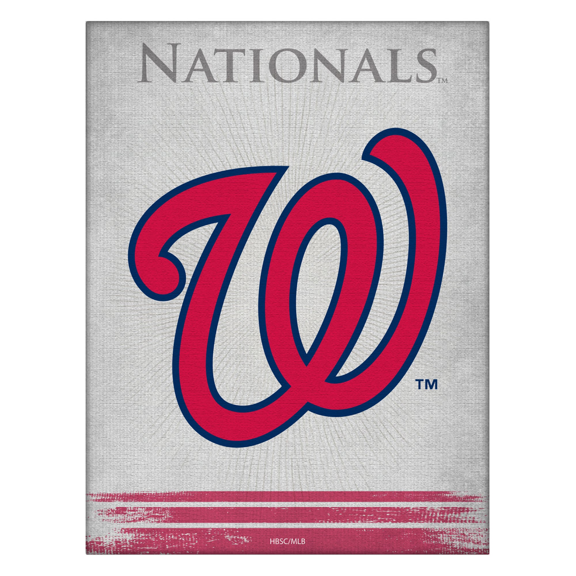 Washington Nationals 15" x 20" Splash Canvas Wall Art