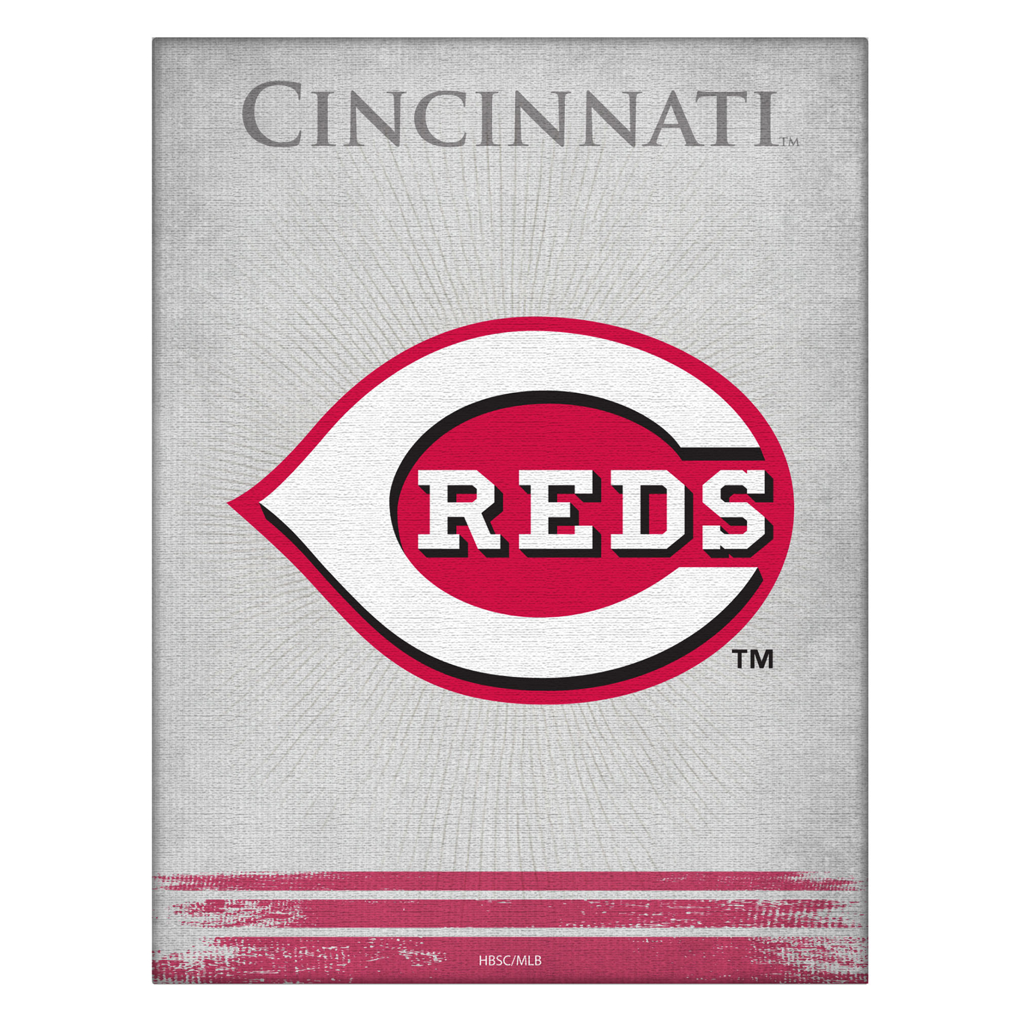 Cincinnati Reds 15" x 20" Splash Canvas Wall Art