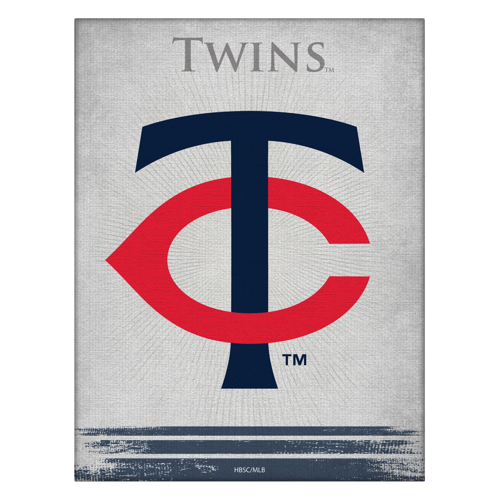 Minnesota Twins 24" x 32" Splash Canvas Wall Art