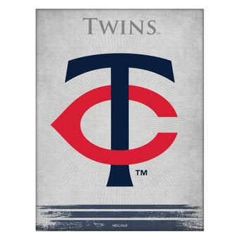 Minnesota Twins 24" x 32" Splash Canvas Wall Art