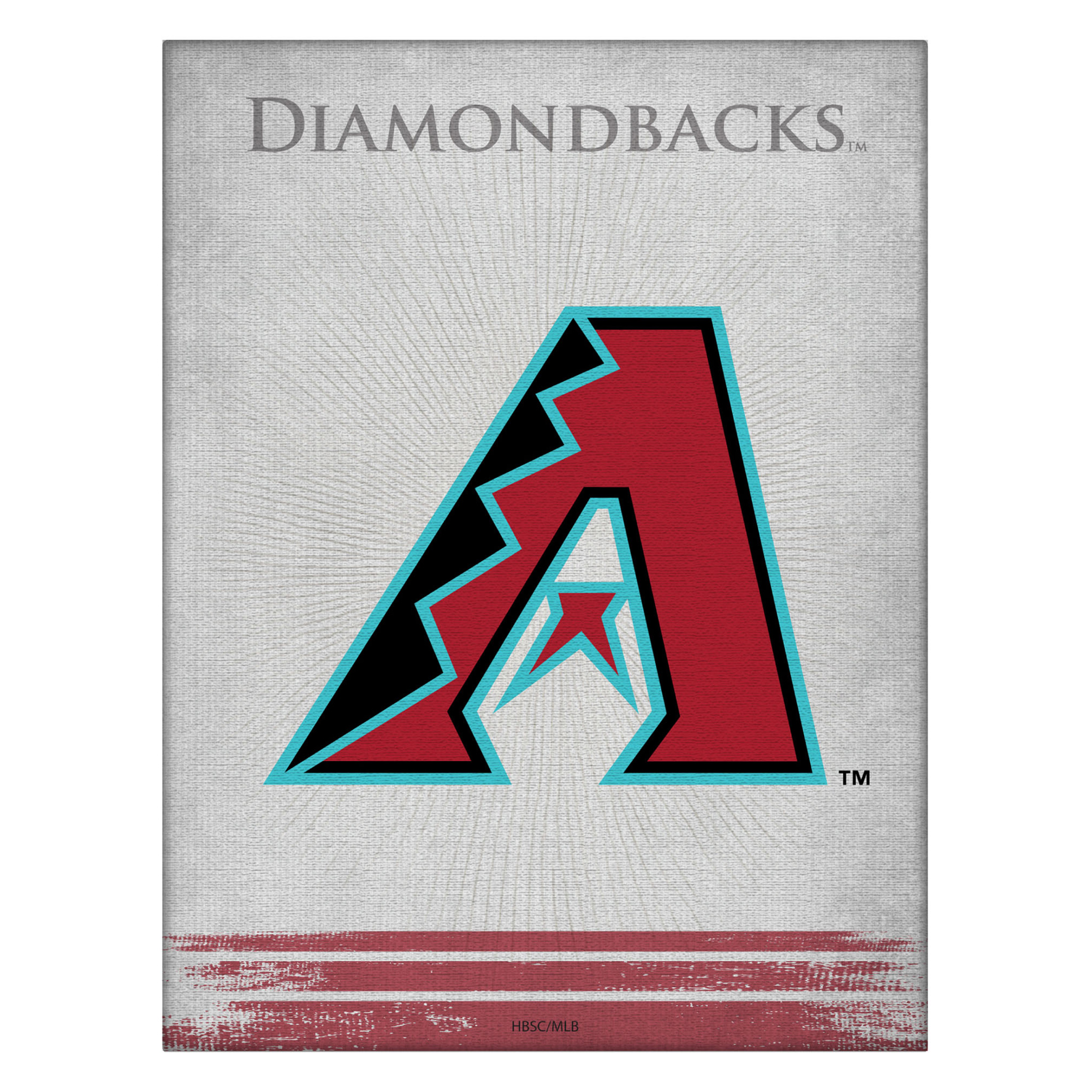 Arizona Diamondbacks 24" x 32" Splash Canvas Wall Art