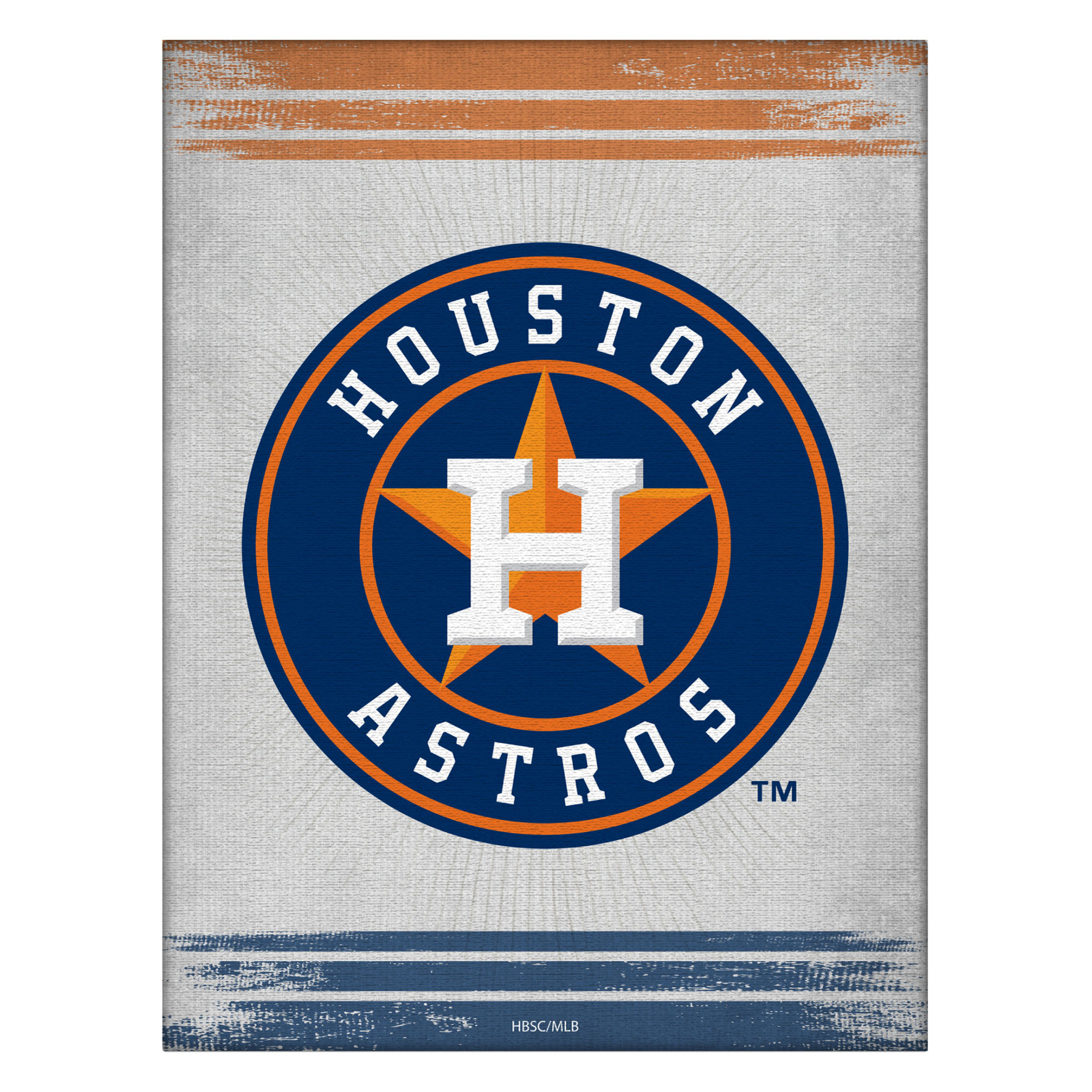 Houston Astros 24" x 32" Splash Canvas Wall Art