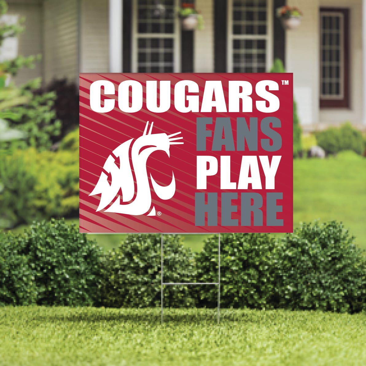 Washington State Cougars 18" x 24" Fans Play Here Outdoor Yard Sign