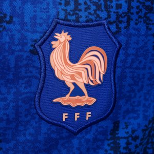Haut Pré-Match France Nike – Bleu - Enfant, vue 5