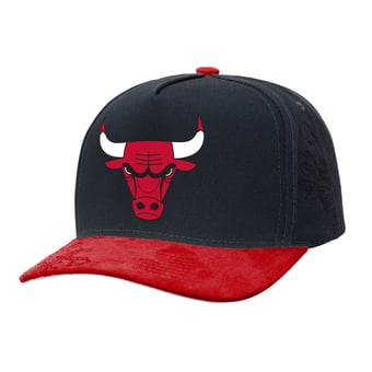 Men's Mitchell & Ness  Black/Red Chicago Bulls May Flowers Adjustable Hat